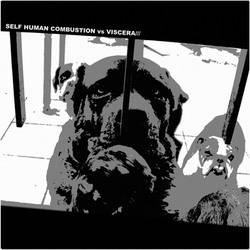 Self Human Combustion : Self Human Combustion - Viscera